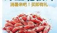 北极虾团购爆料视频下载,新鲜美味，限时抢购！