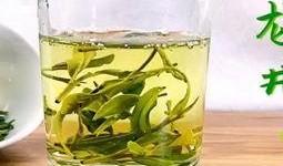 龙井茶被爆料是真的吗视频,被爆料视频揭露的惊人内幕