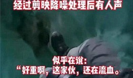 爆料西安老乔事件视频播放,真相与争议交织