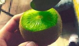 抖音网红吃瓜都有谁了