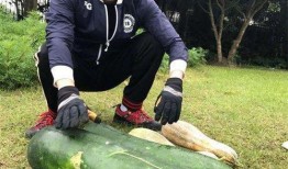 禹城大瓜爆料视频,一场引人入胜的爆料盛宴