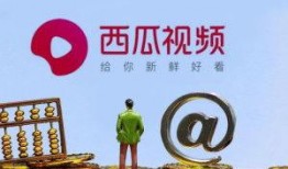爆料中视频伙伴计划官方,官方揭秘背后的合作奥秘与收益之道