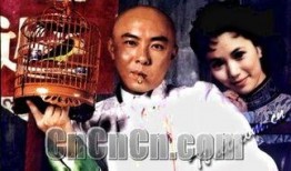 方缪神探在线观看,在线揭秘神秘案件，智慧对决，正义必胜！