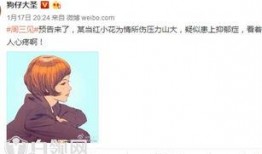 小花爆料解说大全最新,揭秘娱乐圈幕后故事