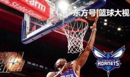 黄蜂爆料乔丹了吗视频,乔丹惊人秘密曝光，视频揭秘篮球传奇背后的故事