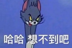夸张搞笑娱乐爆料文案,明星们竟然这样玩