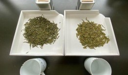 龙井茶被爆料是真的吗视频,被爆料视频揭露的惊人内幕