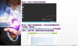 蜜獾家族mcf最新爆料,揭秘家族动向与精彩瞬间