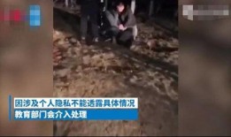 湖南女校长爆料视频大全,揭秘校园内幕与真相