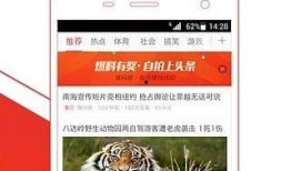 最新一手爆料视频网站,视频网站风云再起