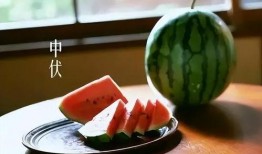 网红用语吃瓜什么意思,揭秘“吃瓜”背后的网络热词文化