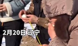 打井抖音爆料视频大全集,打井爆料视频大全集深度解析