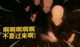 感动的视频爆料大全,感动视频爆料大全精选回顾