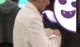 小小白爆料视频,独家内幕大公开